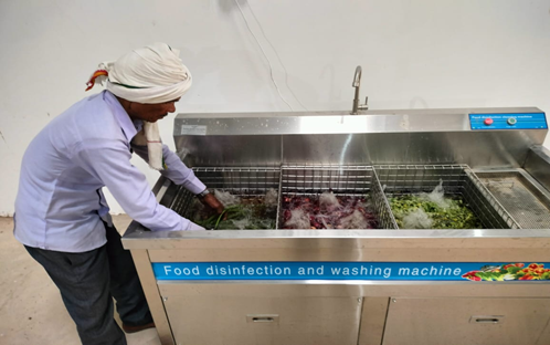 Worker washing and disinfecting produce in a food disinfection machine