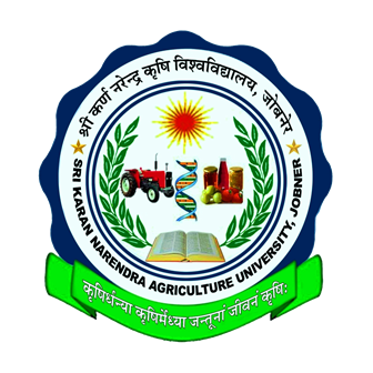 SKN-ABI Jobner logo